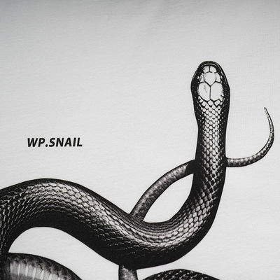 T-shirt en 3D imprimé en forme de serpent pour la mode de rue en différentes tailles