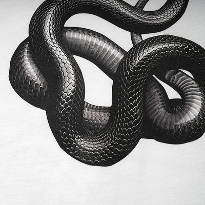 T-shirt en 3D imprimé en forme de serpent pour la mode de rue en différentes tailles